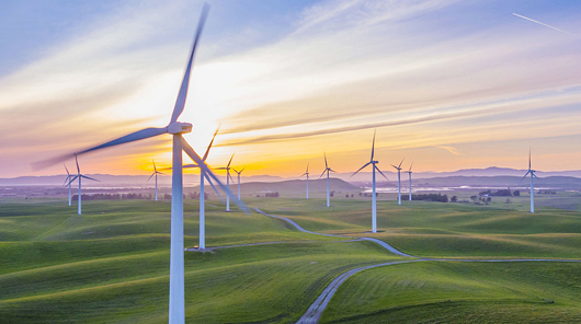 豐富的證書與榮譽(yù)